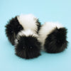 Harley the Black and White Guinea Pig Group Shot