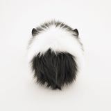 Harley the Black and White Guinea Pig Back View
