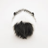 Harley the Black and White Guinea Pig Back View
