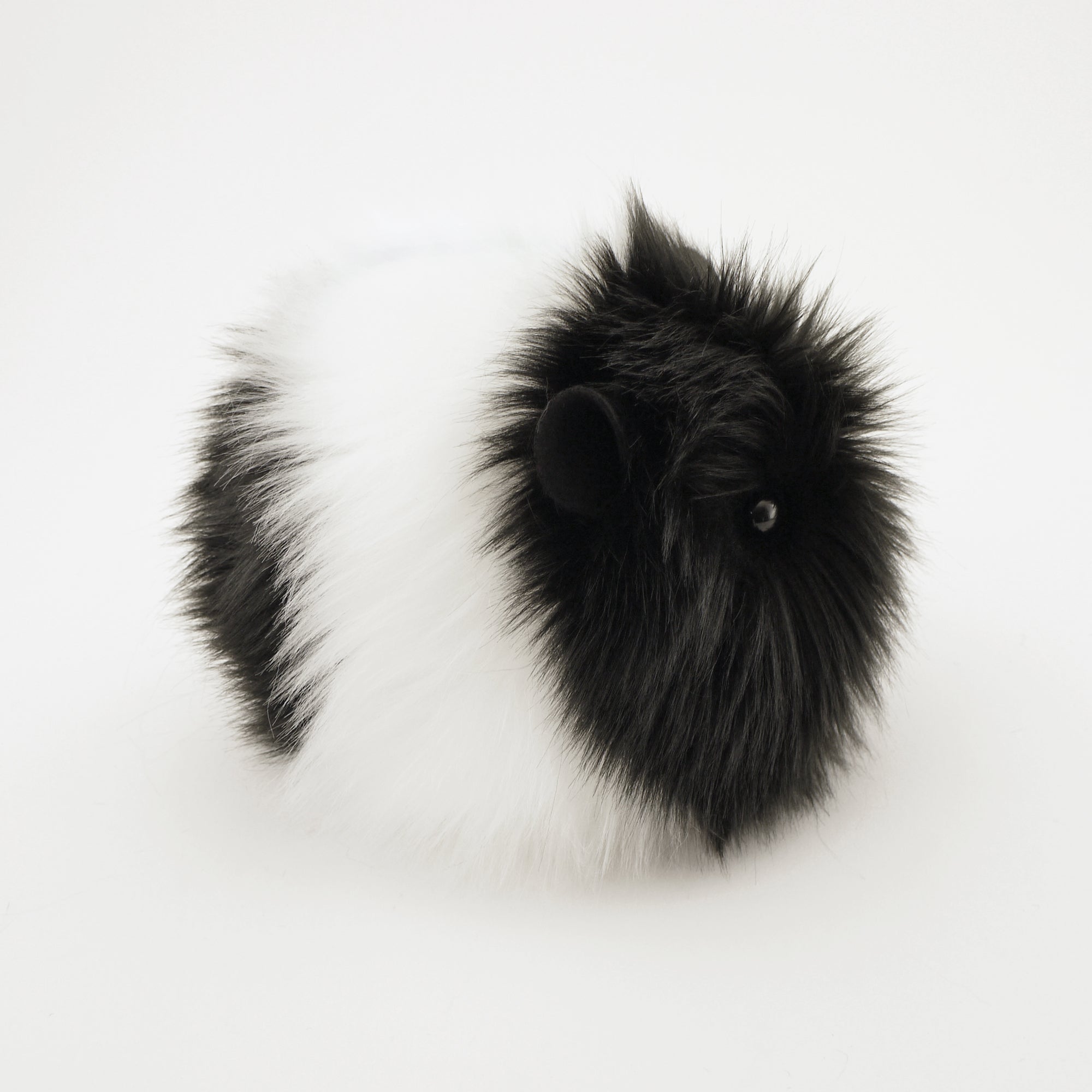 Harley the Black and White Guinea Pig Side View